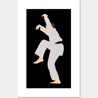 Crane Kick Posters and Art